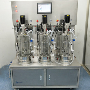 10l Triple Off-site Sterilized Mechanically Agitated Glass Bioreactor